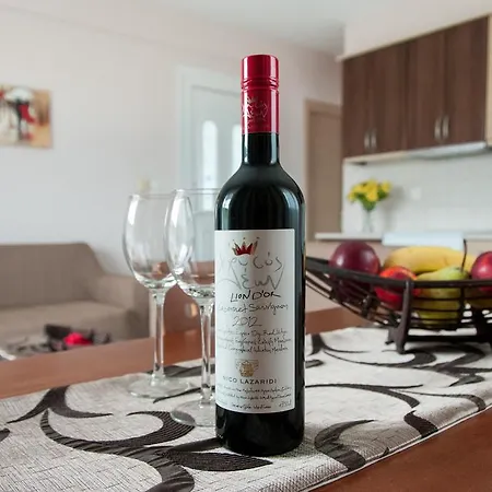 第二个家公寓 斯卡拉索提罗斯